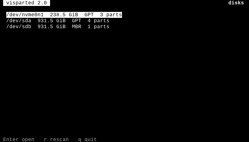 The VisParted TUI disk list in a plain terminal